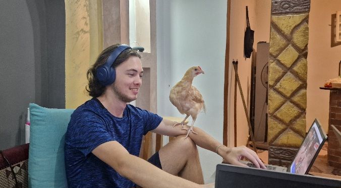 Archie playing hes latop with a chicken on hes arm